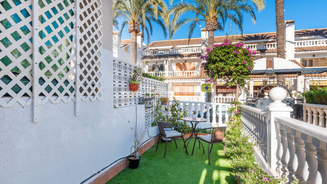 Revente - Apartment - Punta Prima