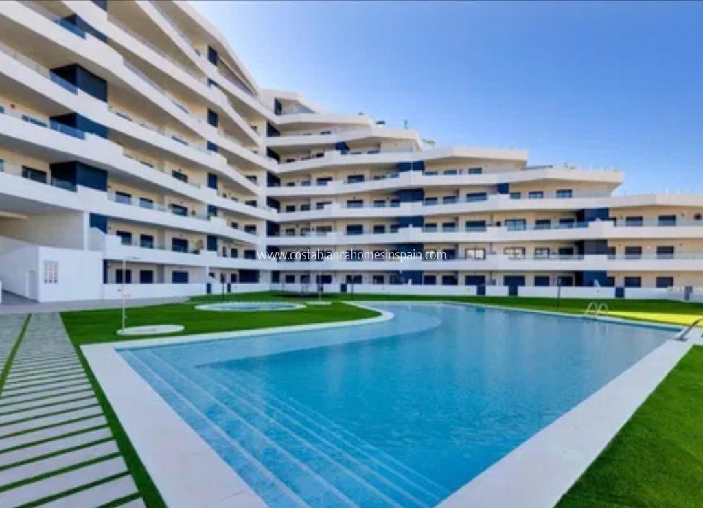 Revente - Apartment - San Miguel de Salinas - Costa Blanca