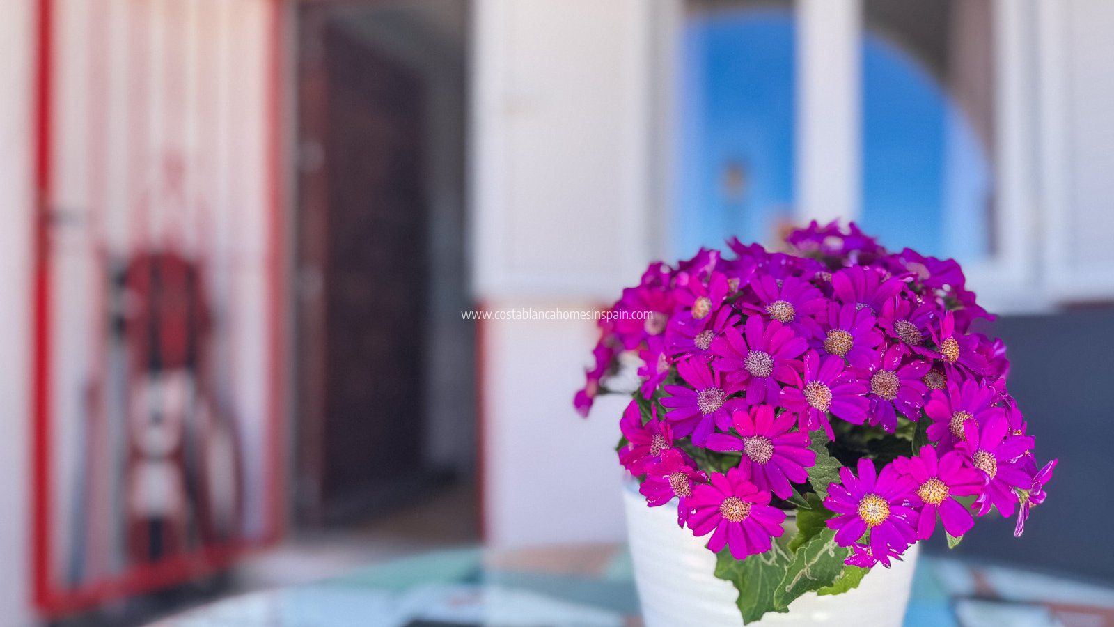 Revente - Apartment - Torrevieja - Cabo cervera