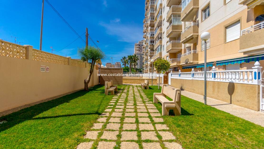 Revente - Apartment - Torrevieja - Centro