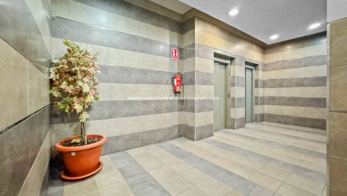 Revente - Apartment - Torrevieja - El molino