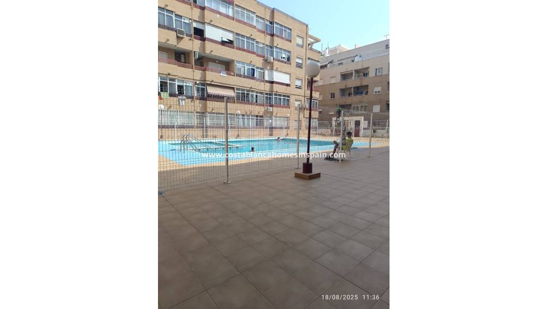 Revente - Apartment - Torrevieja - Playa de los Locos