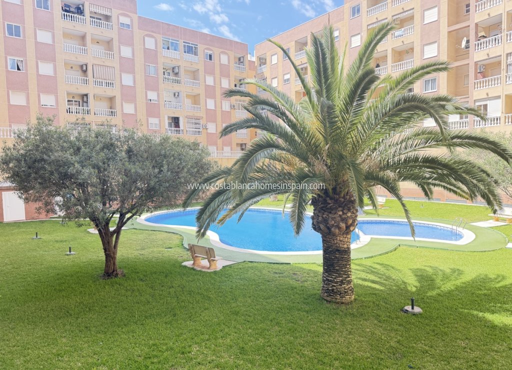 Revente - Apartment - Torrevieja