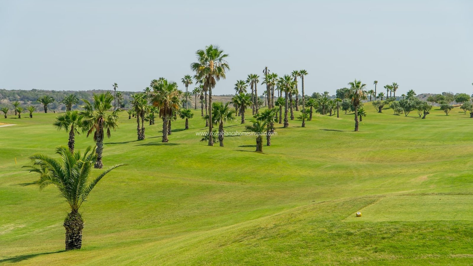 Revente - Apartment - Vistabella - Vistabella Golf