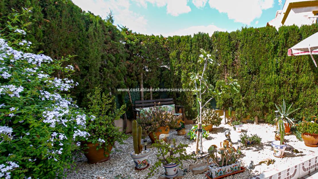 Revente - Bungalow - Playa Flamenca