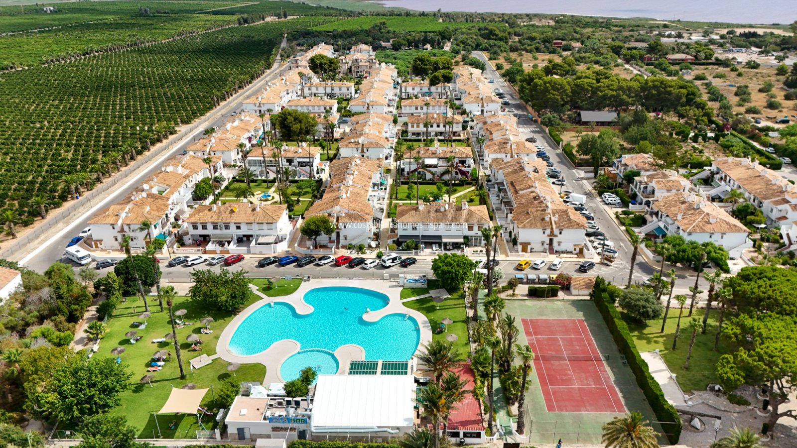 Revente - Bungalow - Torrevieja - Lago jardin