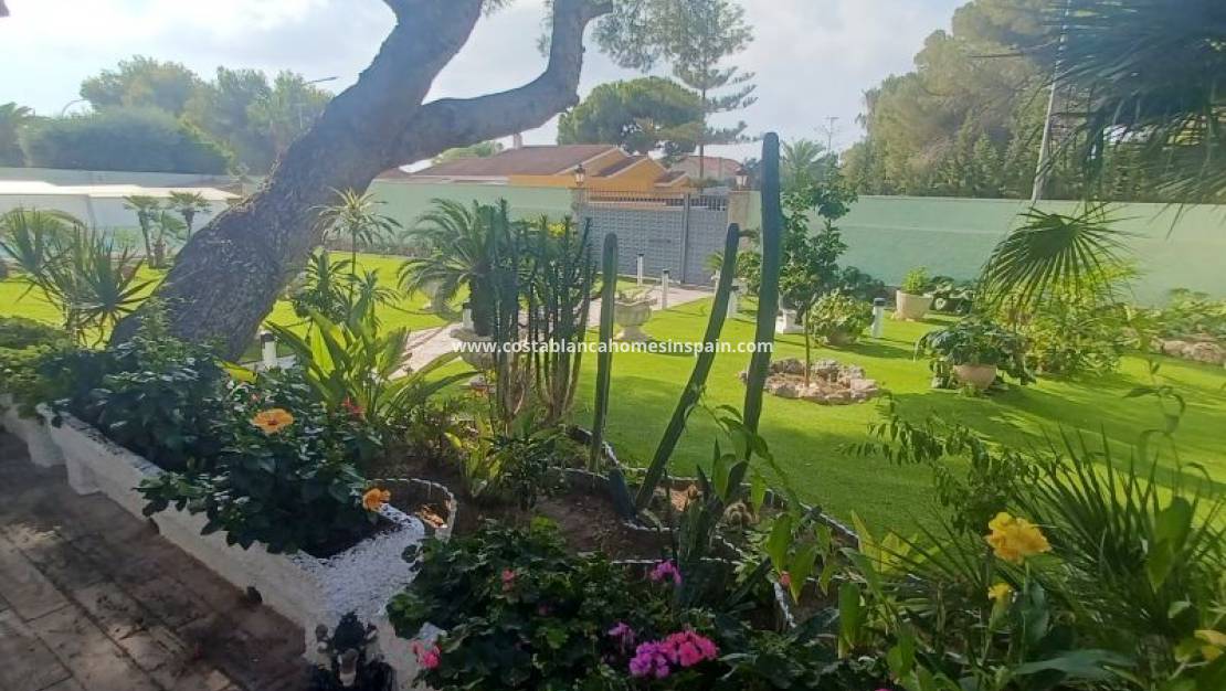 Revente -  - Campoamor