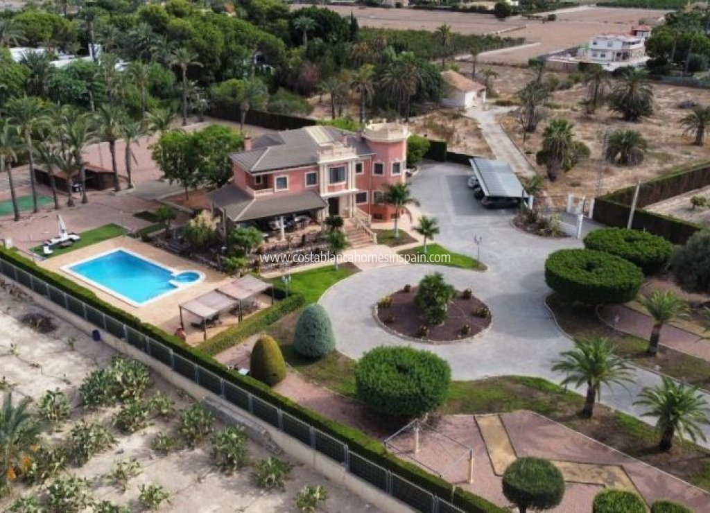 Revente - Detached Villa - Elche/Elx - Elche