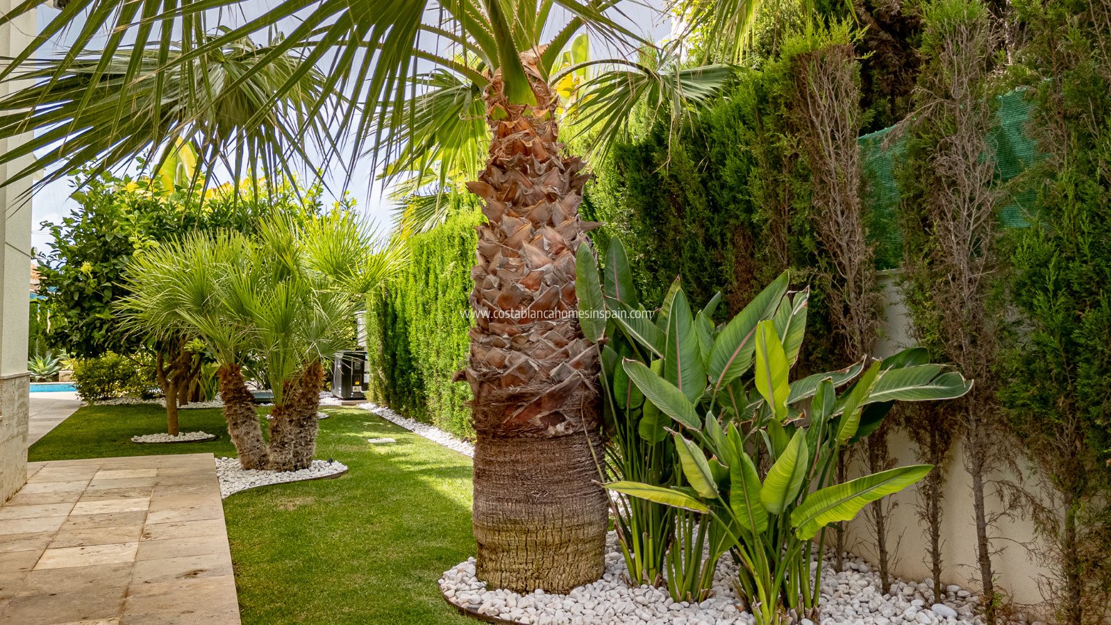 Revente - Detached Villa - La Zenia - Beachside