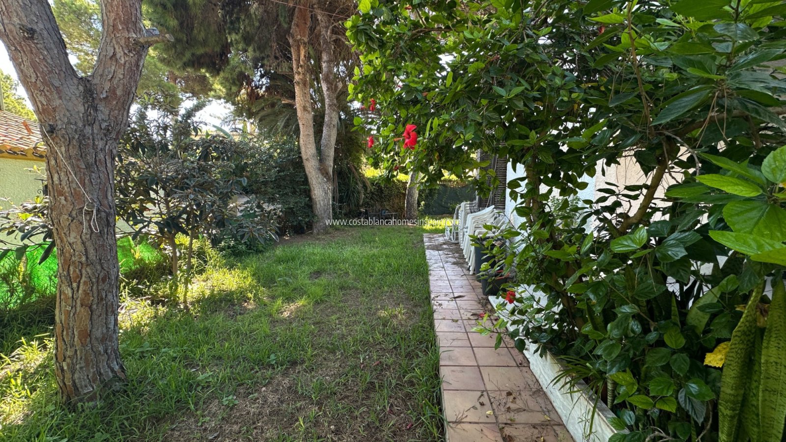 Revente - Detached Villa - Orihuela Costa - Punta Prima