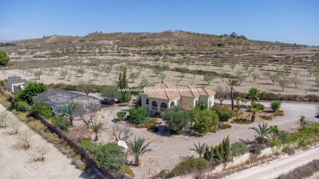 Revente - Detached Villa - Torremendo