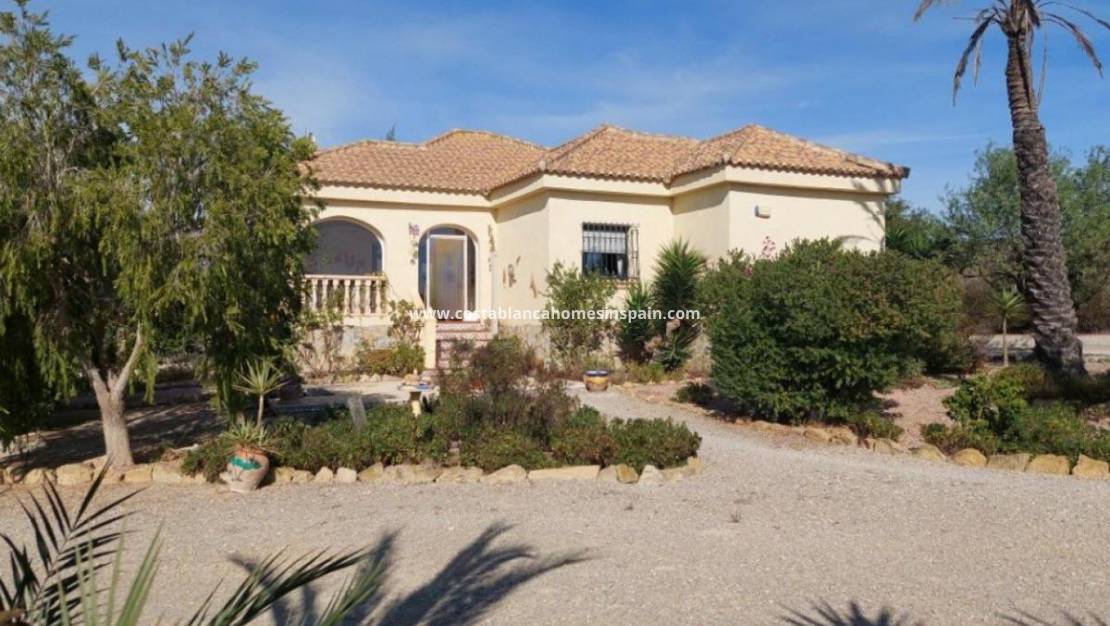 Revente - Detached Villa - Torremendo