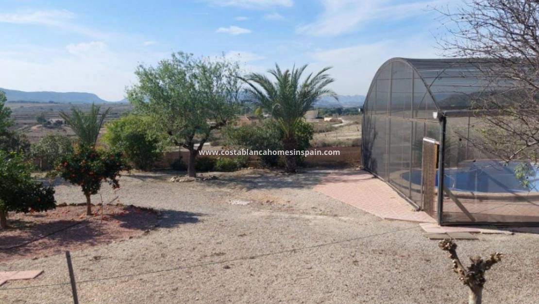 Revente - Detached Villa - Torremendo