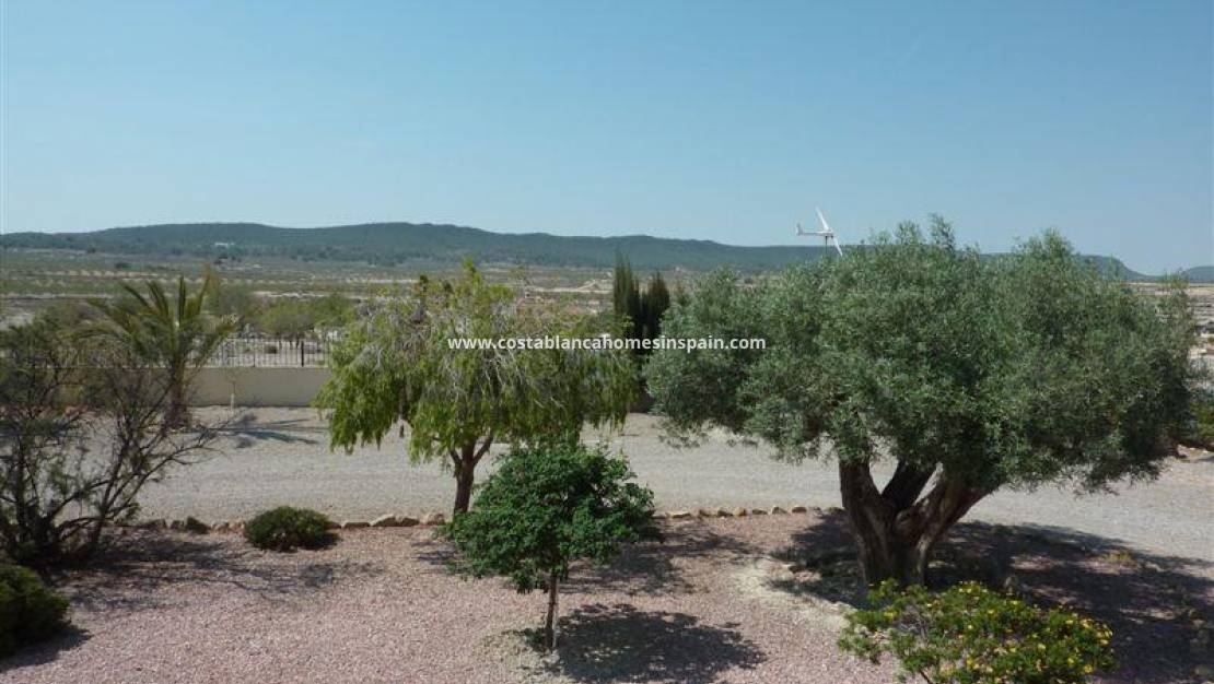 Revente - Detached Villa - Torremendo