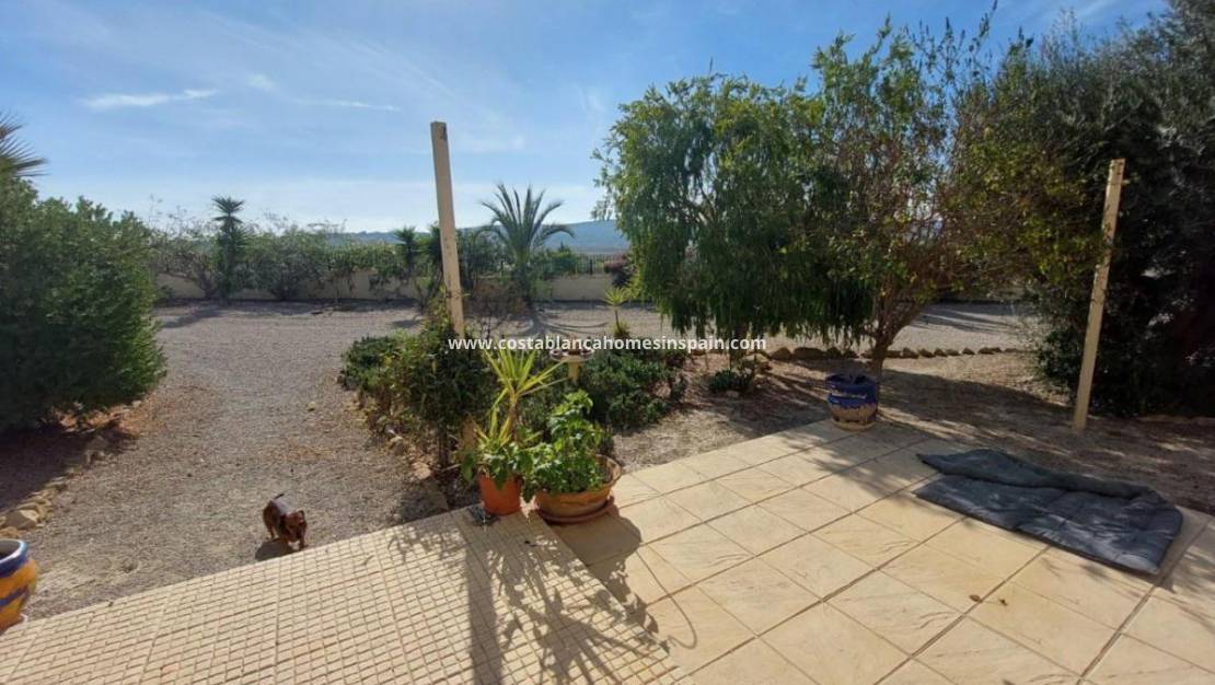 Revente - Detached Villa - Torremendo