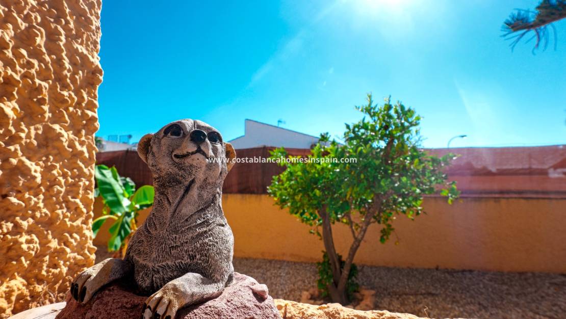 Revente - Detached Villa - Torrevieja - La Siesta - El Salado -  Torreta