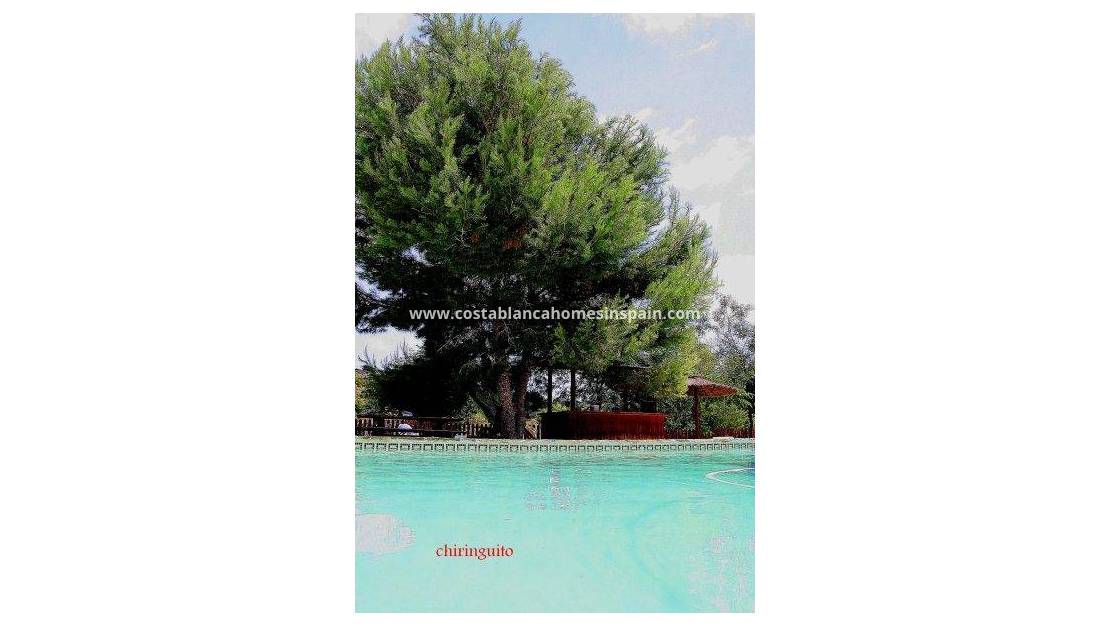 Revente - Finca - Gea y Truyols - Costa Calida