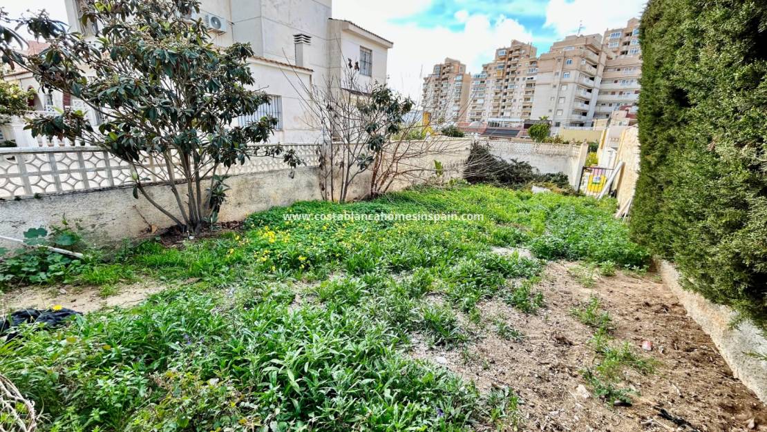 Revente - Plot - Torrevieja - Nueva Torrevieja - Aguas Nuevas