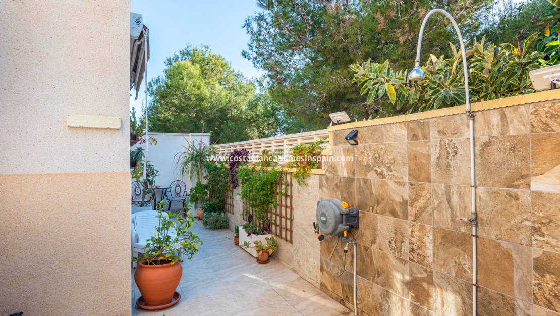 Revente -  - San Miguel de Salinas - El galán