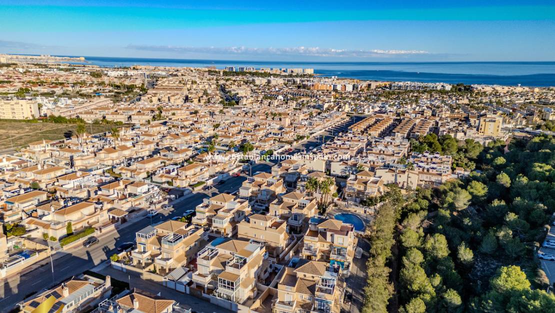 Revente - Semi - Detached Villa - Playa Flamenca - Costa Blanca South