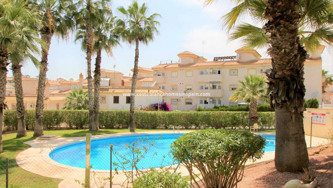 Revente - Semi - Detached Villa - Villamartin