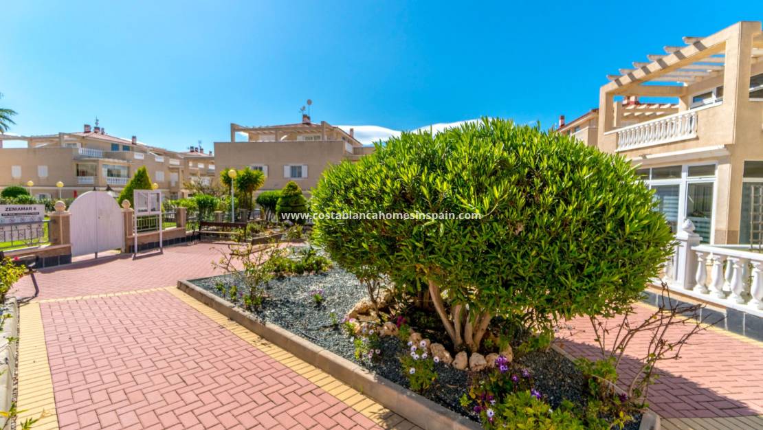 Revente - Townhouse - Playa Flamenca - Costa Blanca