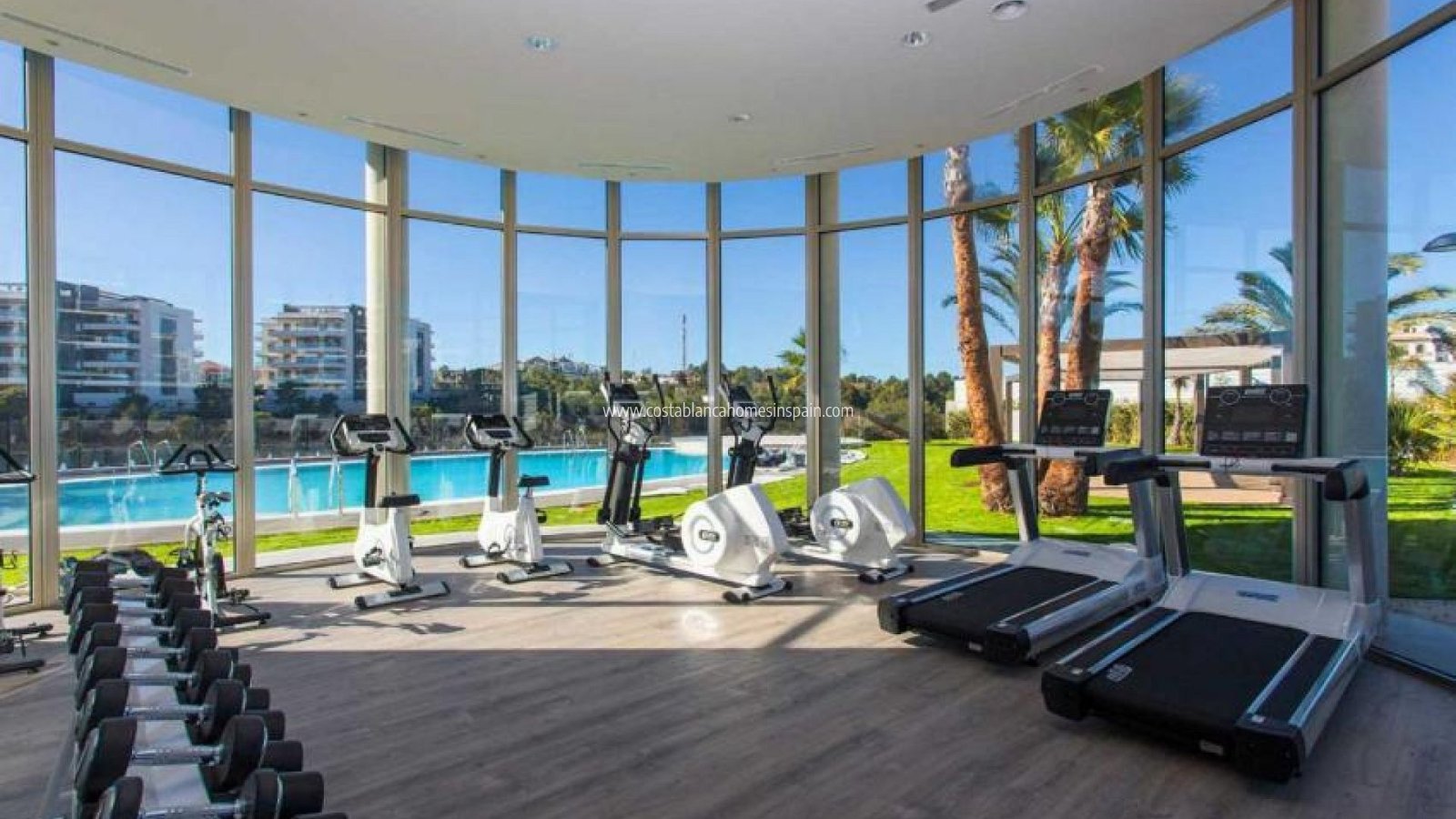 Sale - Apartment - Los Dolces - LOS DOLSES