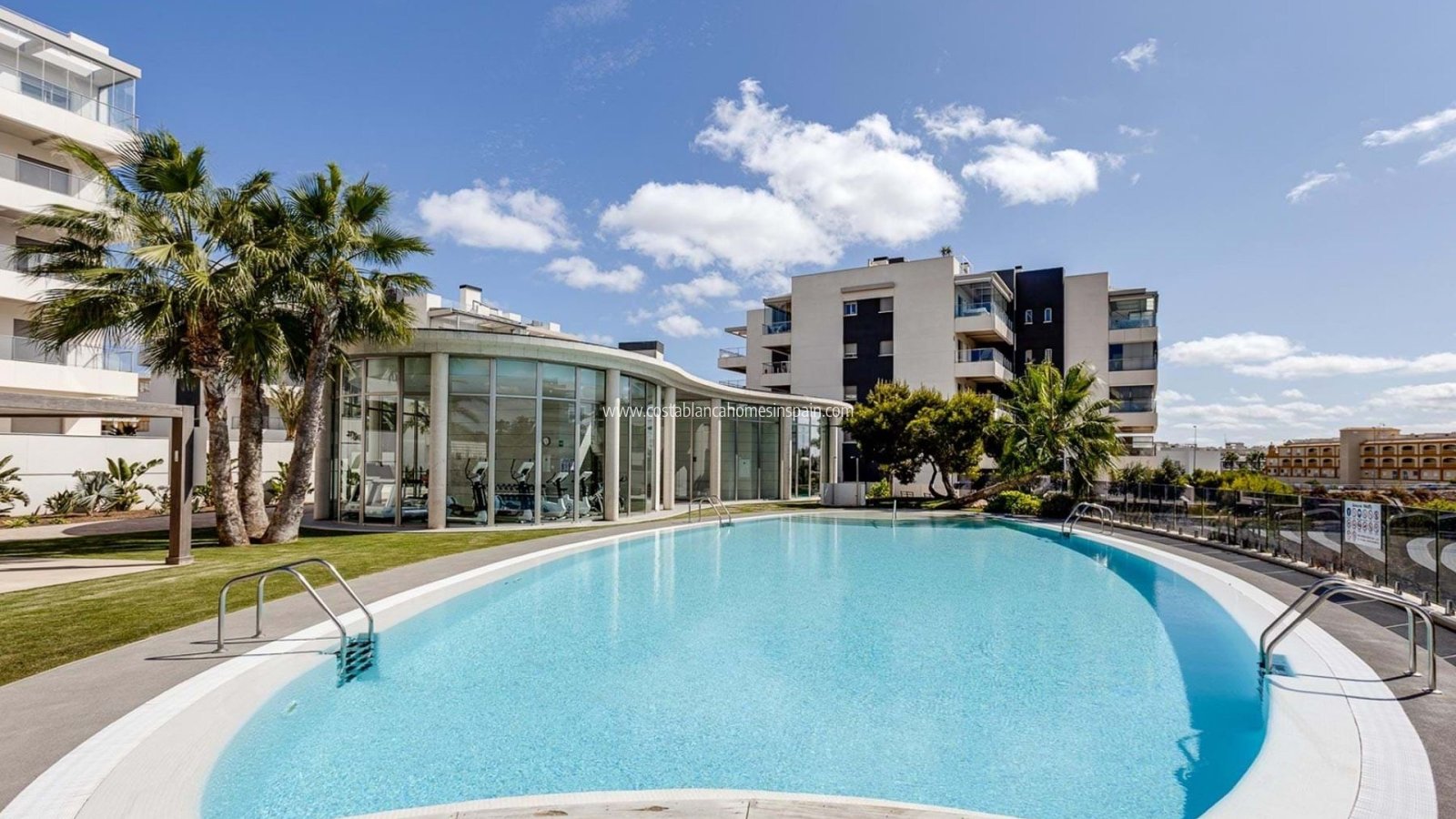 Sale - Apartment - Los Dolses - LOS DOLSES