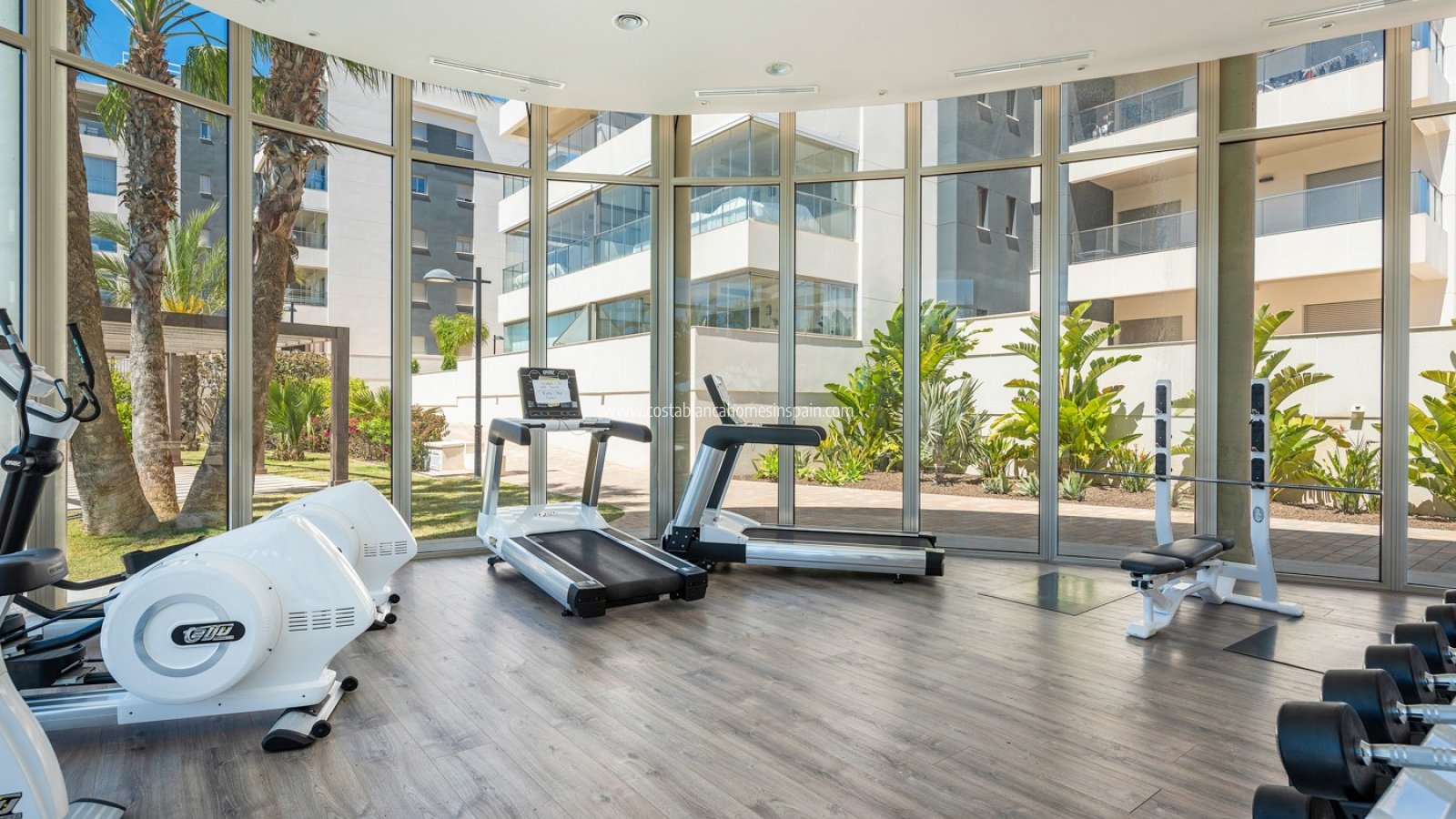 Sale - Apartment - Orihuela Costa - Los Dolses