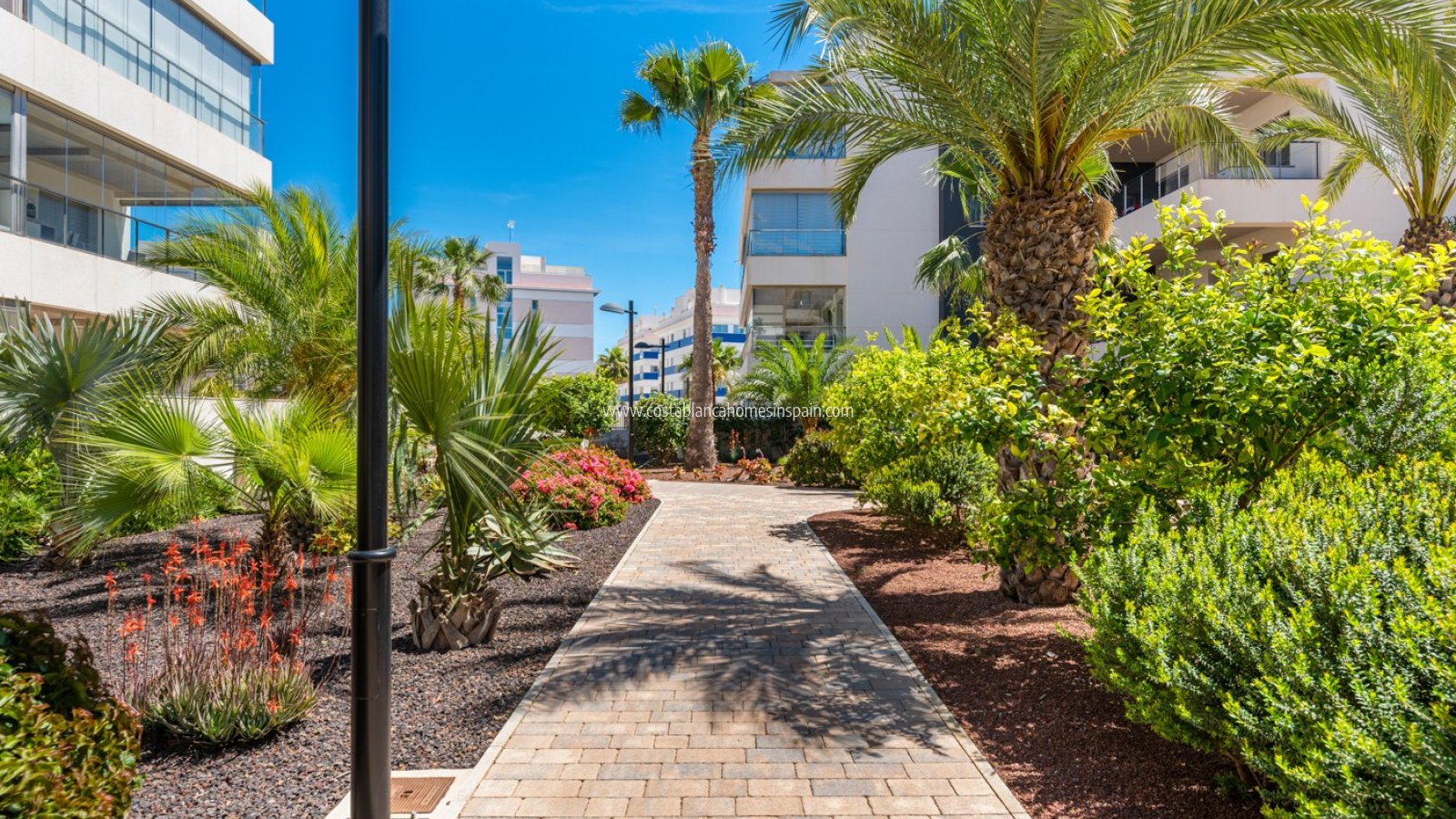 Sale - Apartment - Orihuela Costa - Los Dolses