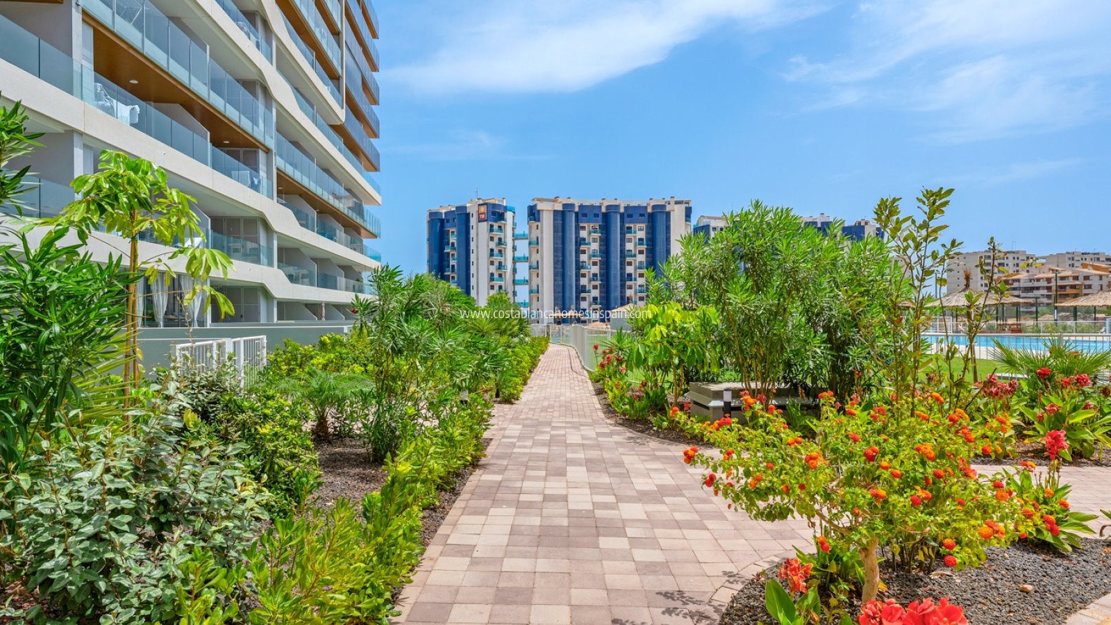 Sale - Apartment - Orihuela Costa - Punta Prima