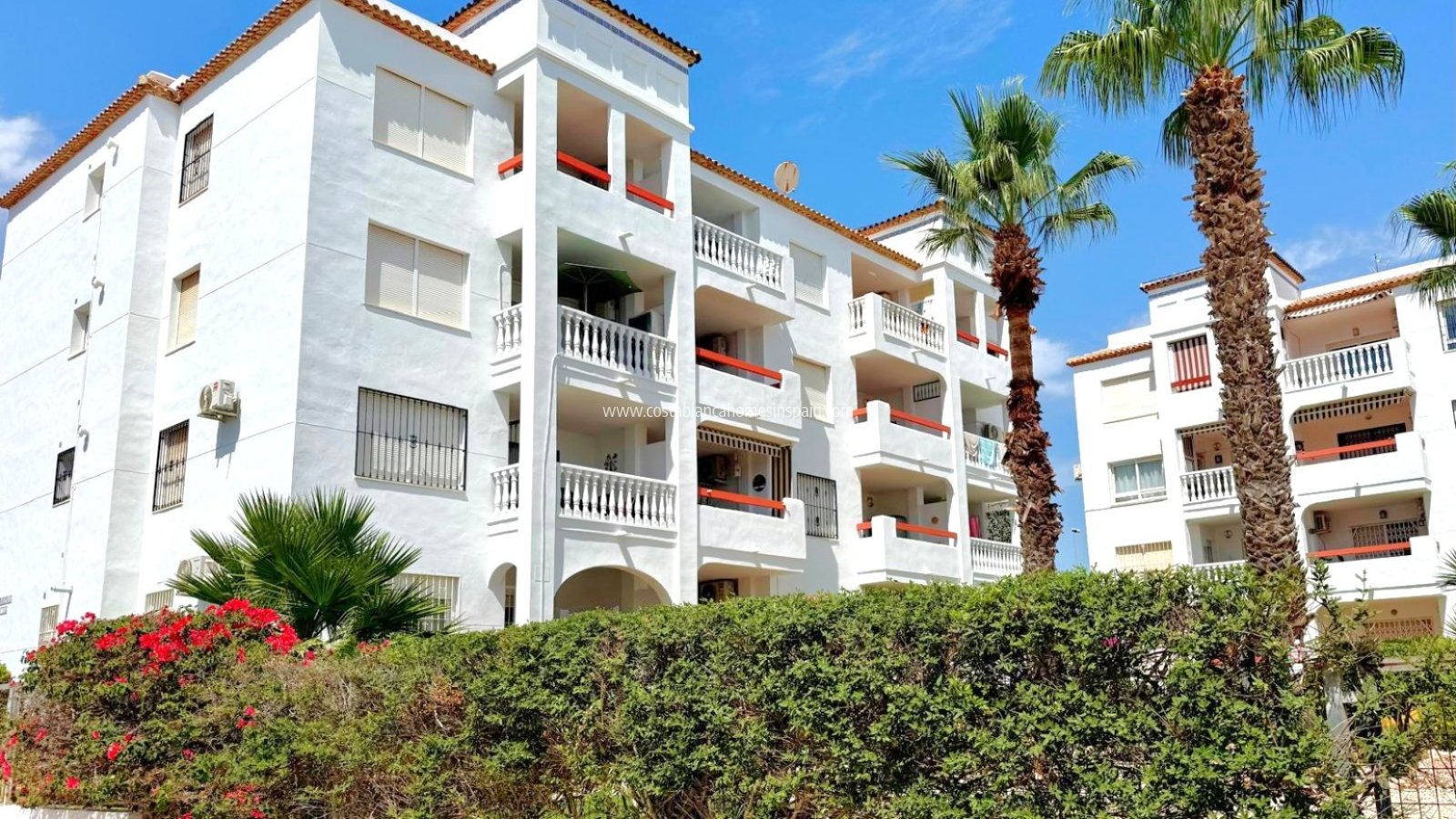 Sale - Apartment - Orihuela Costa - Villamartin