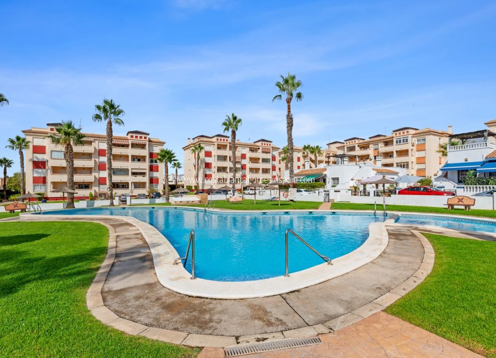 Sale - Apartment - Playa Flamenca - Costa Blanca South
