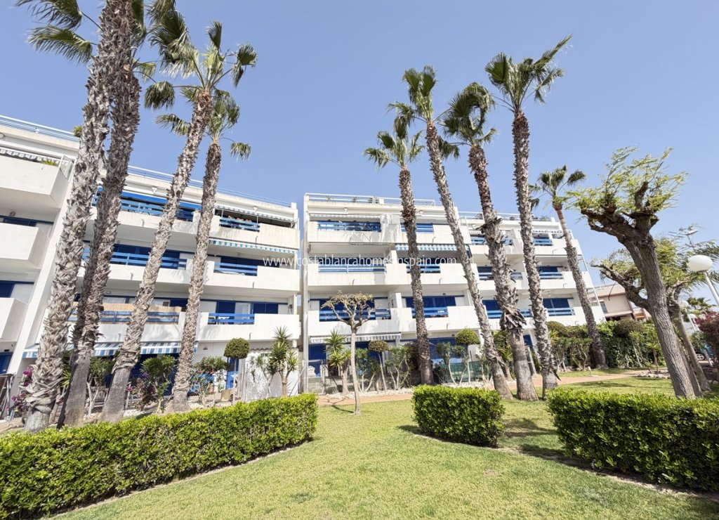 Sale - Apartment - Playa Flamenca - Orihuela Costa