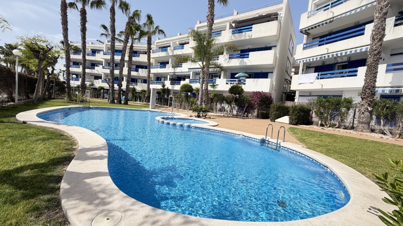 Sale - Apartment - Playa Flamenca - Orihuela Costa