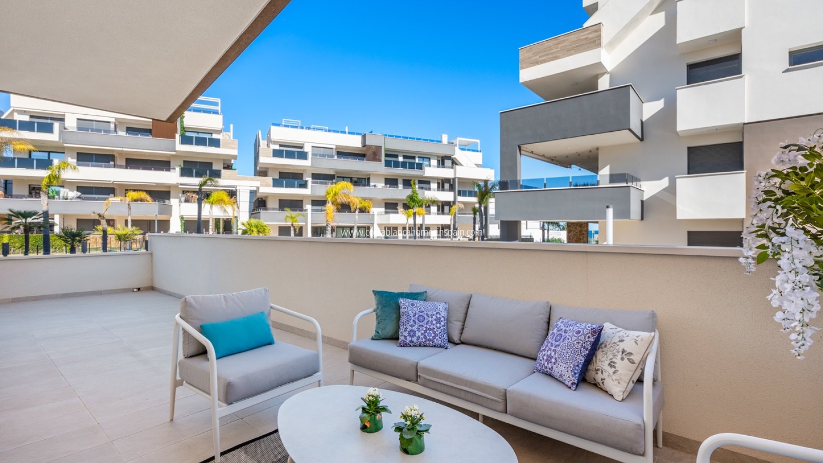 Sale - Apartment - Playa Flamenca - Orihuela Costa