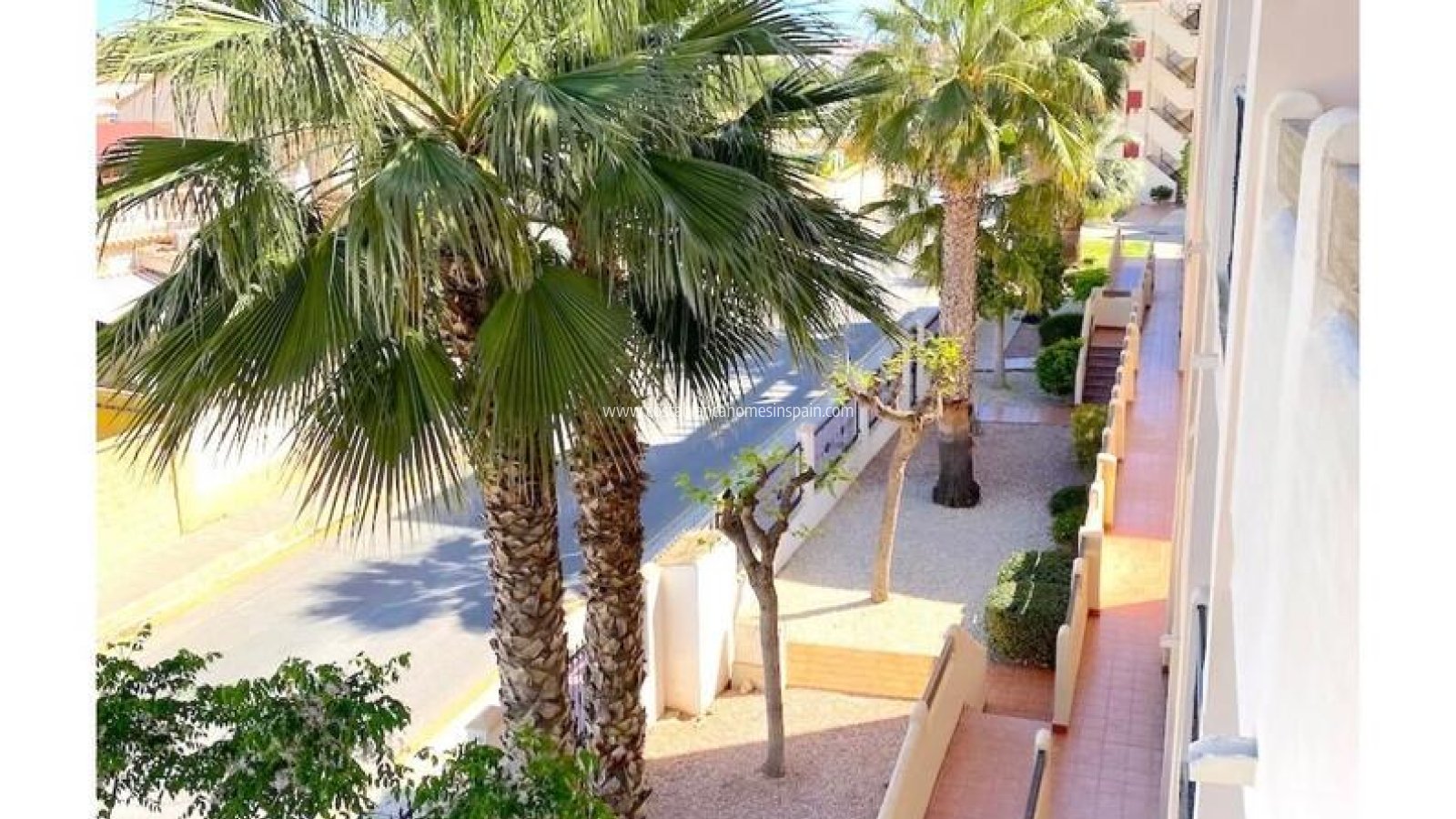 Sale - Apartment - Playa Flamenca - Orihuela Costa