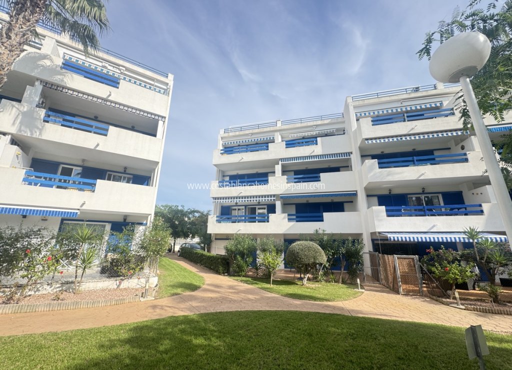 Sale - Apartment - Playa Flamenca - Orihuela Costa