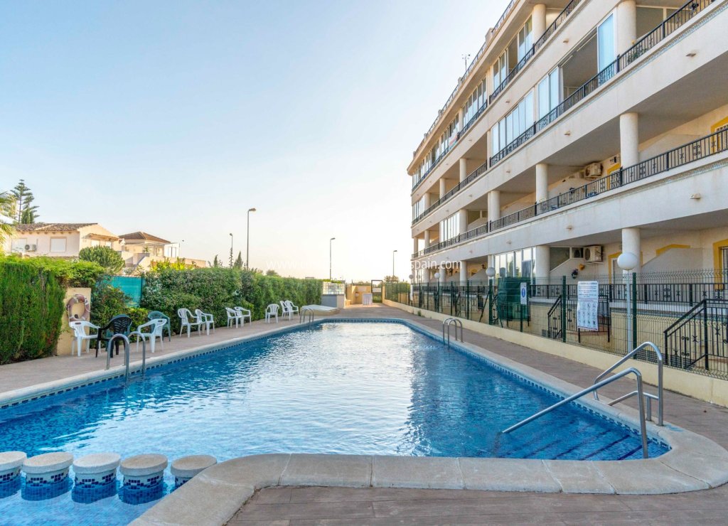 Sale - Apartment - Playa Flamenca - Orihuela Costa