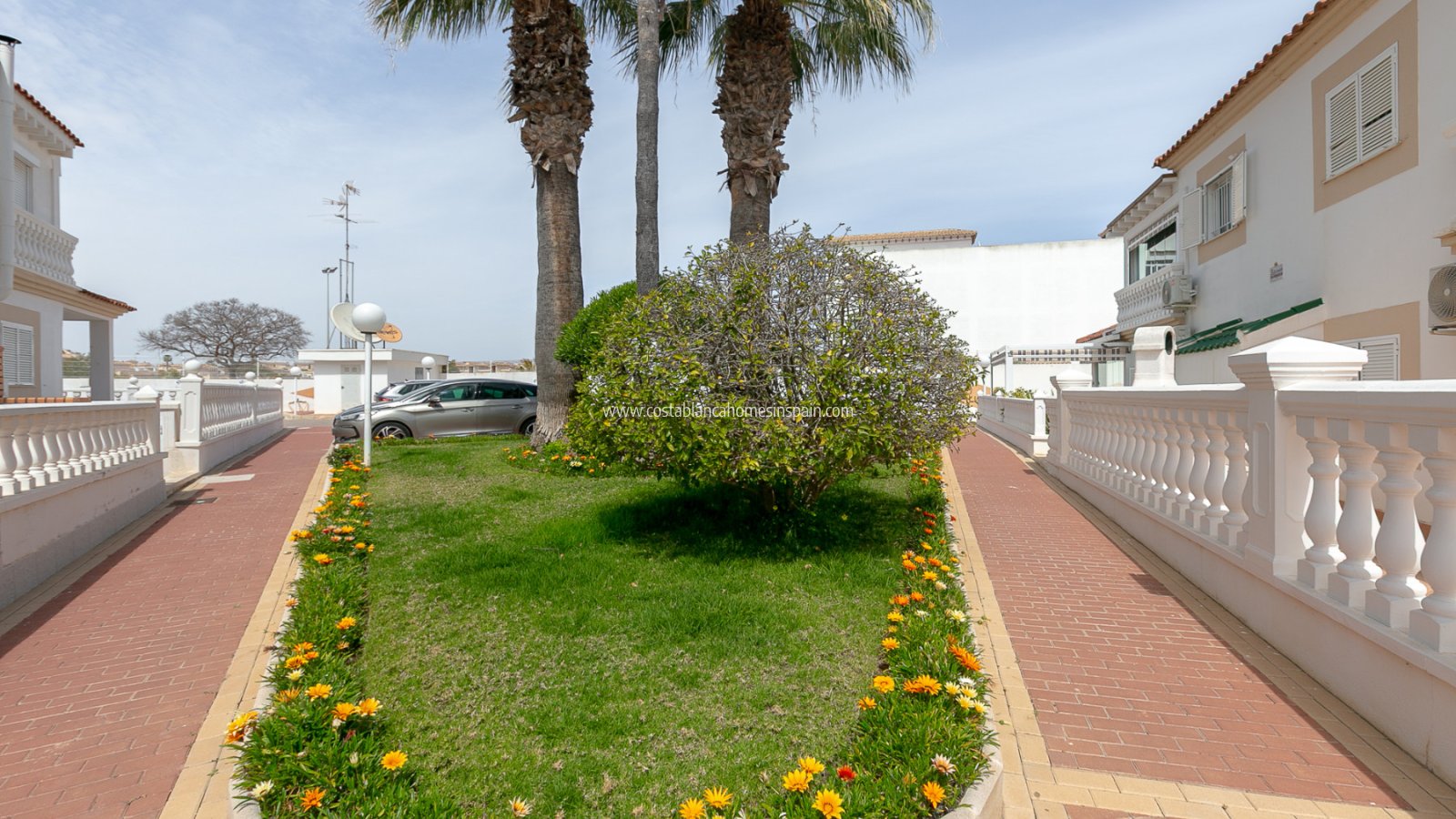 Sale - Apartment - Playa Flamenca - Zenia Mar