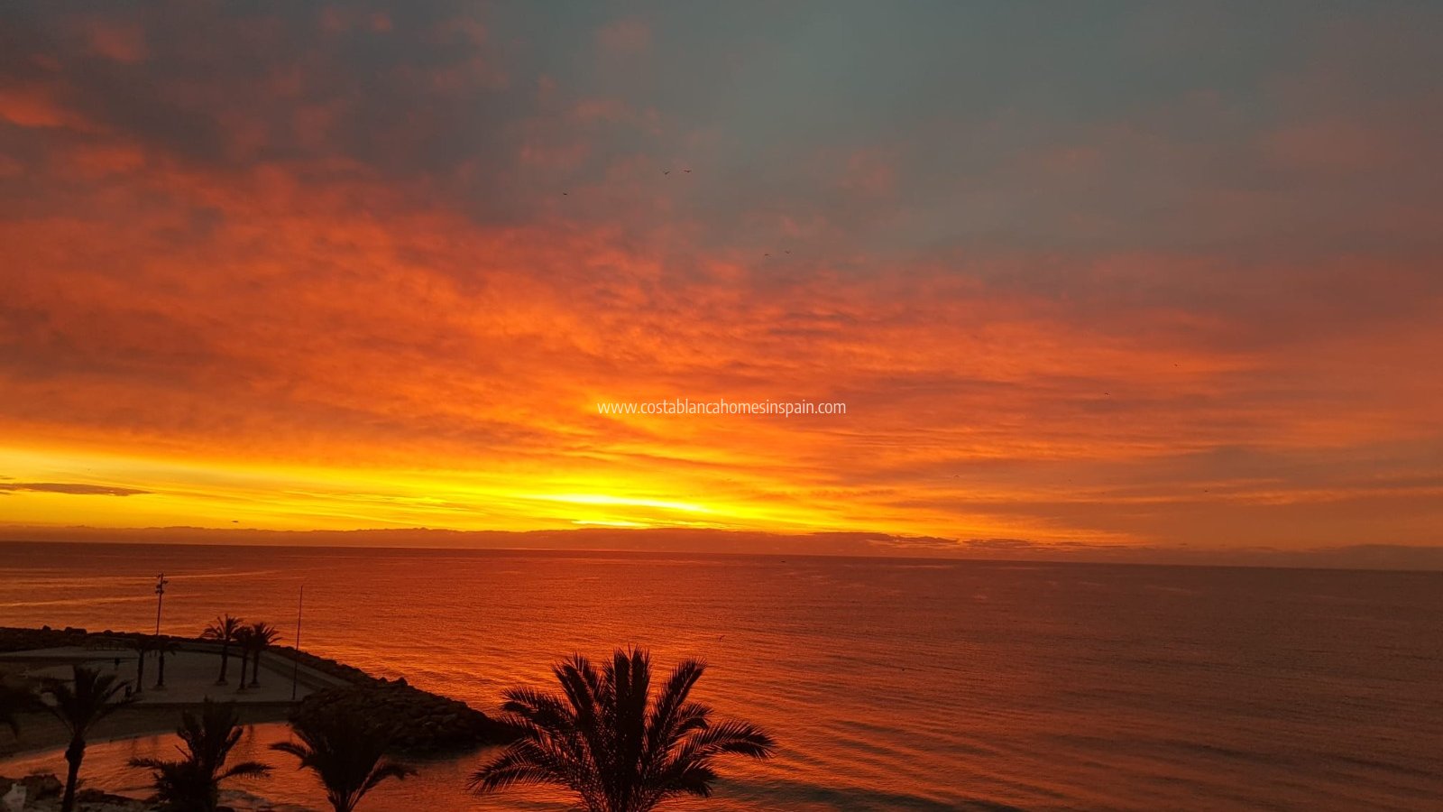 Sale - Apartment - Torrevieja - Playa del Cura