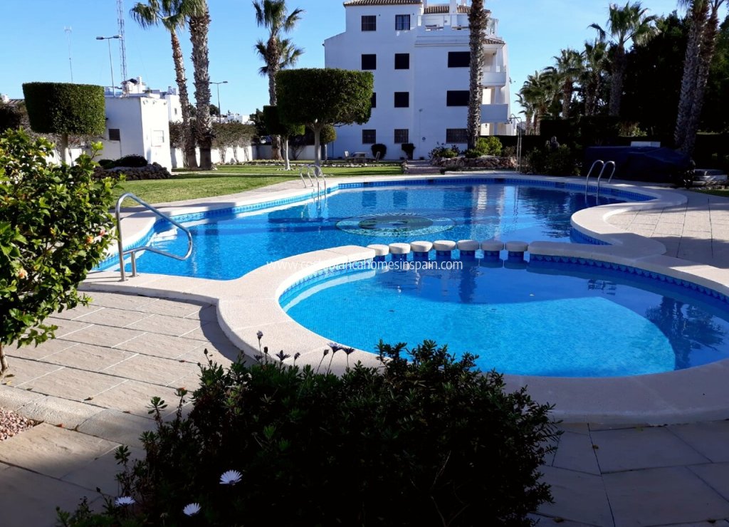 Sale - Apartment - Villamartin