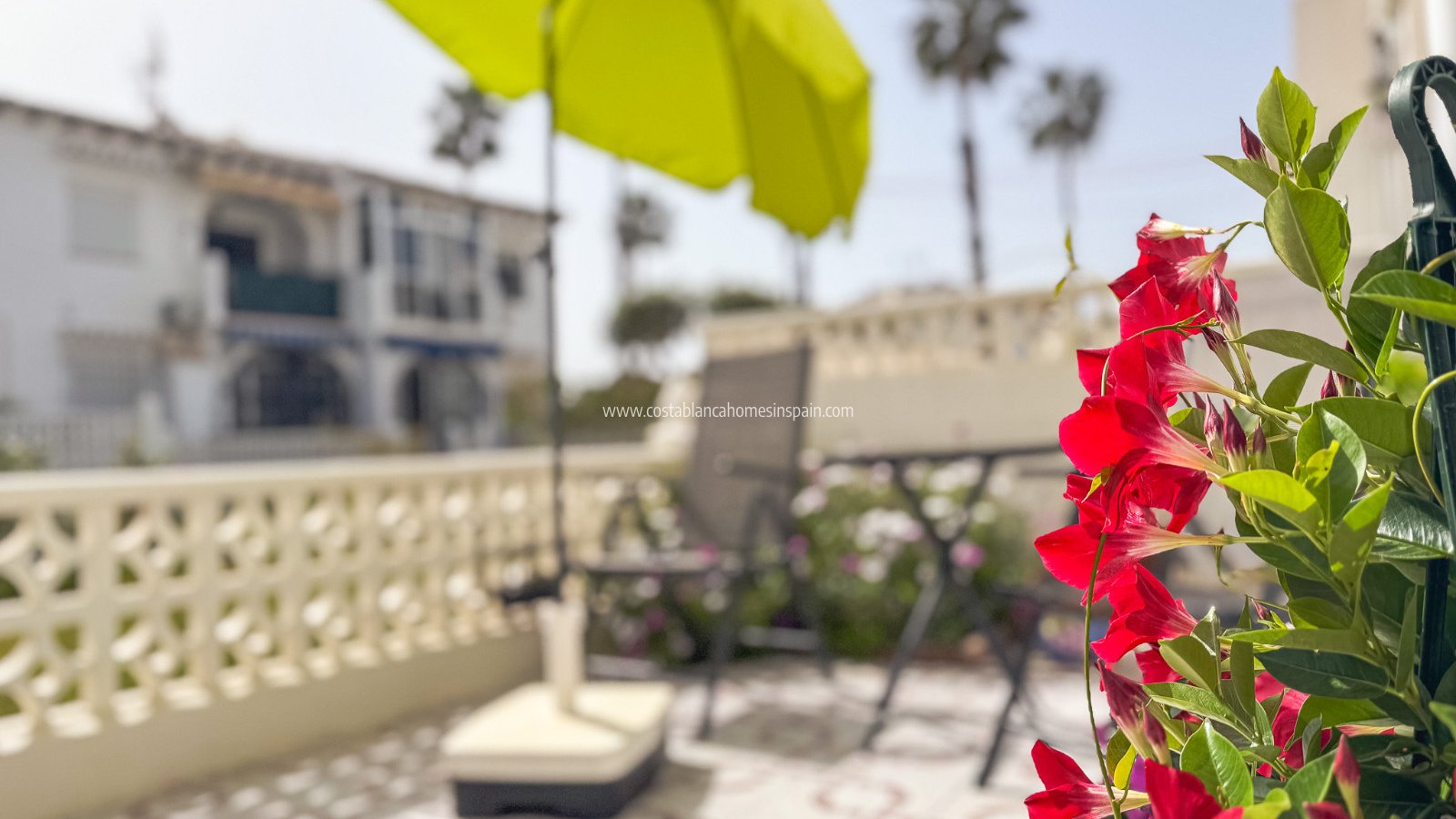 Sale - Bungalow - Torrevieja - Lago jardin
