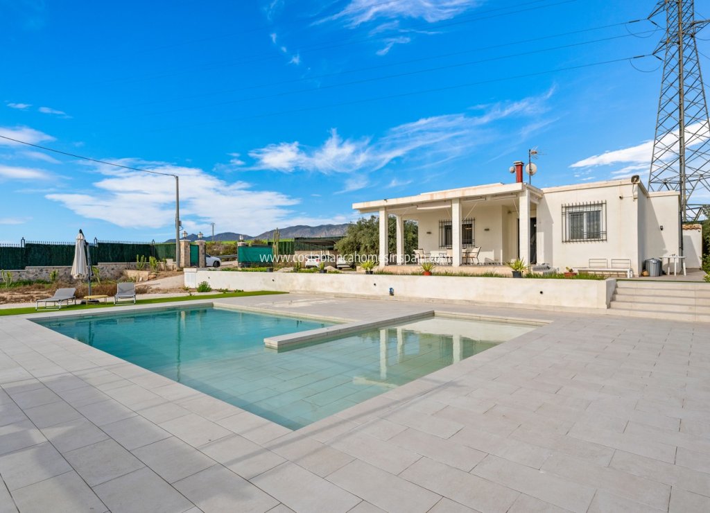 Sale - Detached Villa - Elche/Elx