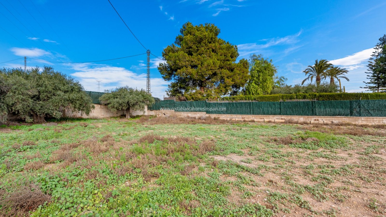 Sale - Detached Villa - Elche/Elx