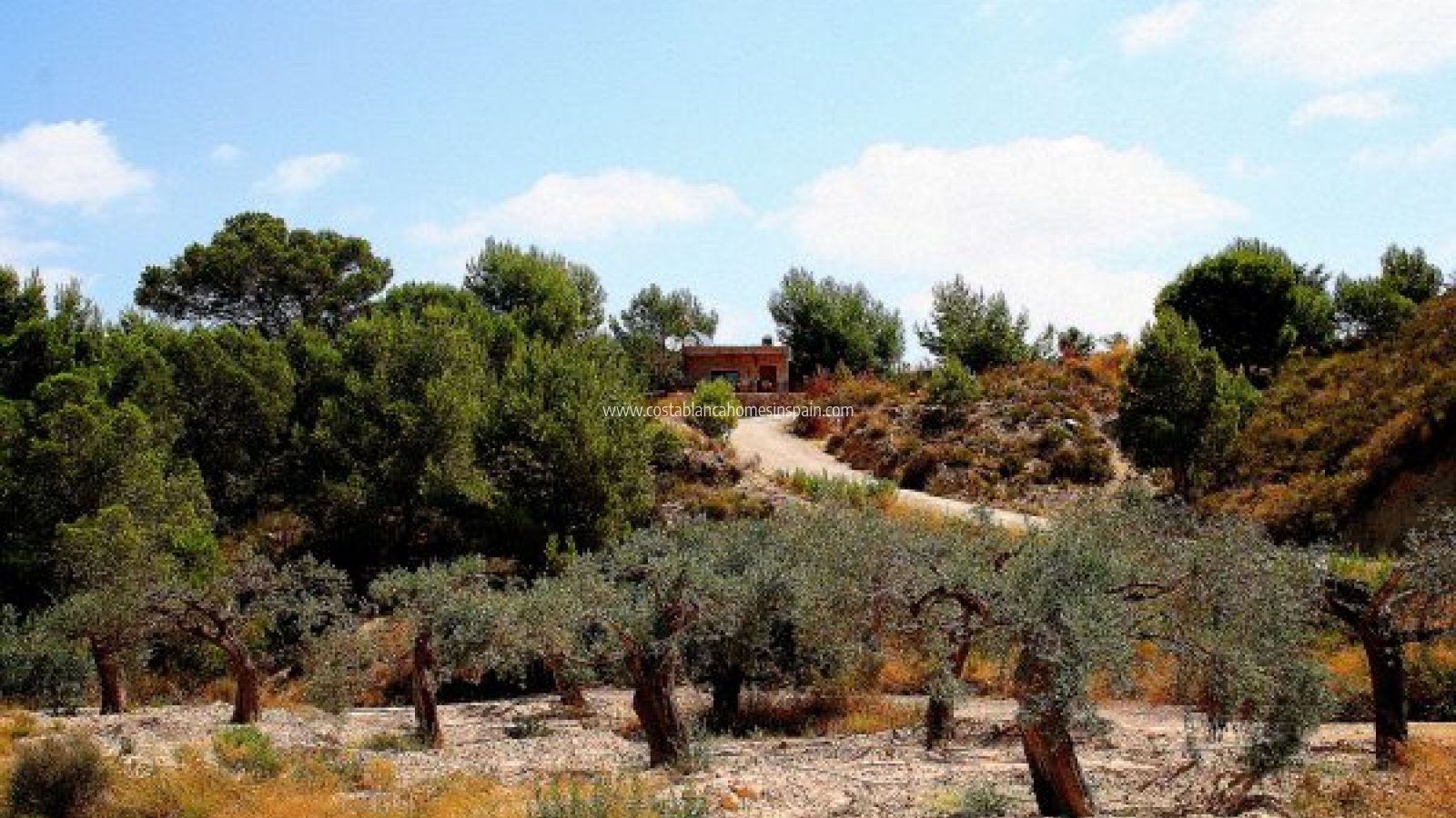 Sale - Finca - Gea y Truyols - Costa Calida