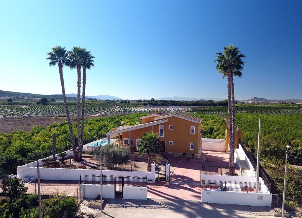 Sale - Finca - Orihuela