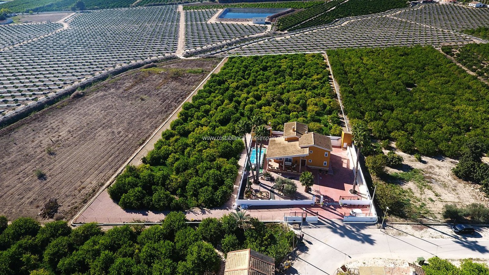 Sale - Finca - Orihuela