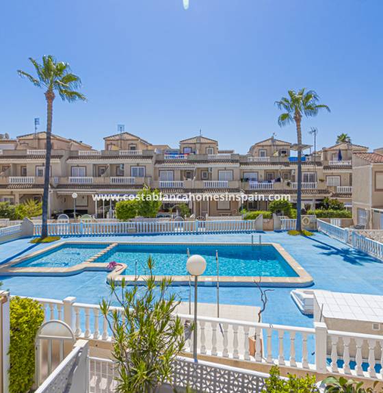 Semi - Detached Villa - Használt - Torrevieja - 1090 DE