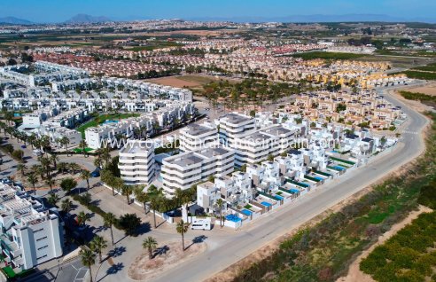 Townhouse - Nouvelle construction - Guardamar del Segura - Guardamar del Segura